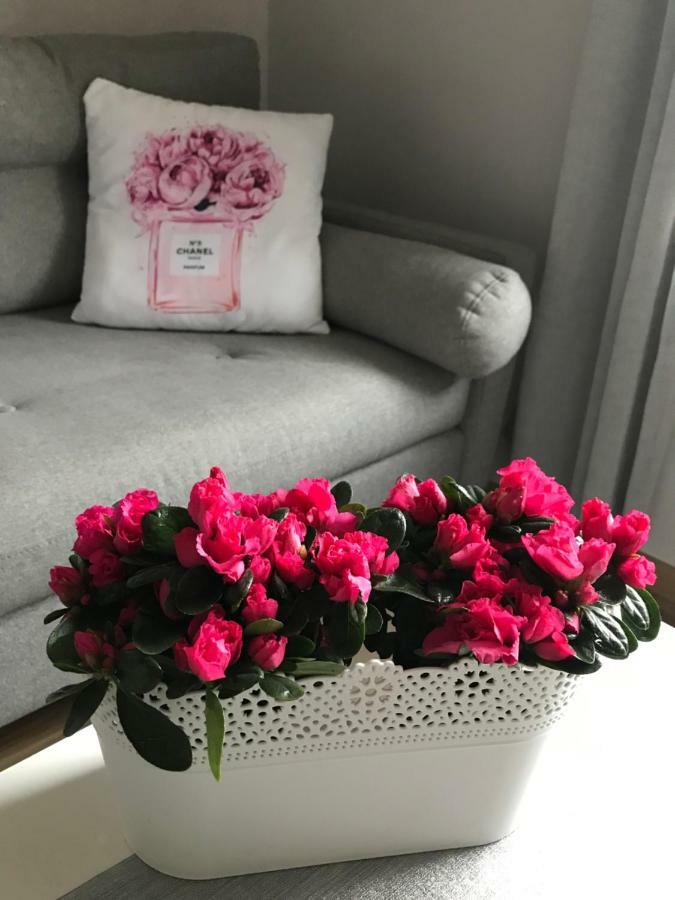 Glamour Apartment Przy Plazy, Z Parkingiem Prywatnym Sopot Esterno foto